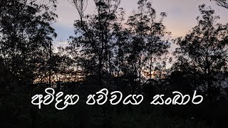 අවිද්‍යා පච්චයා සංඛාර [upl. by Yeslehc210]