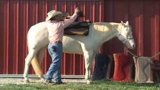 Effecting your saddles fit with a CSI Saddlepad Part 1 [upl. by Hanni]