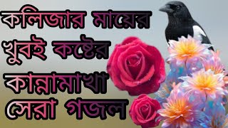 আমার মায়ের খুবই কষ্টের সেরা একটা গজল  kolijar mayer New gojol [upl. by Nona]