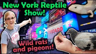 Attending the White Plains Reptile Expo New York Vlog [upl. by Oigimer684]