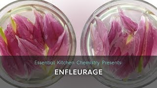 How To Create Your Own Enfleurage [upl. by Nynahs]