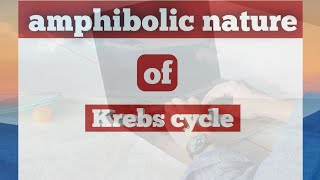 Amphibolic pathway amphibolic nature of Krebs cycle in Hindi Krebs cycle ki amphibolic nature [upl. by Rebecca]