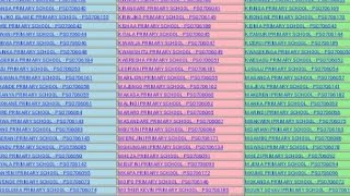 MATOKEO YA DARASA LA SABA 2023 KUTANGAZWA LINI NECTA PSLE 2023 [upl. by Samoht]