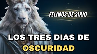 FELINOS DE SIRIO  Los TRES DIAS DE OSCURIDAD Mensaje Importantes [upl. by Bega]