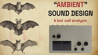 ambient talkie ep 45  so you want to record bats part III [upl. by Enirod]