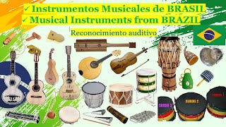 🌎 Instrumentos Musicales de BRASIL Instruments Musical from BRAZIL [upl. by Getraer]