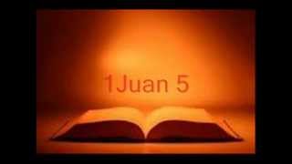 Biblia hablada 1Juan completo RV 1960 [upl. by Greene]