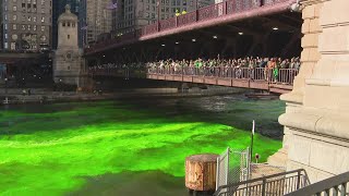 St Patricks Day 2024 Chicago River dying parade and more [upl. by Leslee448]