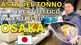 ASTA DEL TONNO AL CENTRO AD OSAKA IN GIAPPONE  MERCATO ITTICO GIAPPONESE [upl. by Einttirb]