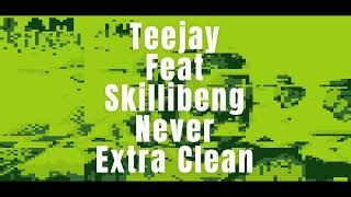 Teejay  Never feat Skillibeng Extra Clean Verson [upl. by Eenitsed]