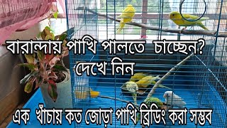 বারান্দায় পাখি পালনের সুবিধা ও অসুবিধা  একটি খাঁচায় সর্বোচ্চ কয়টি পাখি ব্রিডিং করানো সম্ভব [upl. by Suzette]