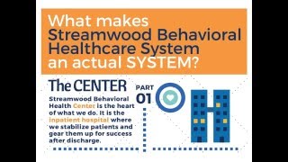 What makes Streamwood Behavioral Healthcare System a quotSystemquot [upl. by Jordan]