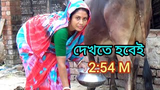 Cow Milking By Hand। Beautiful Lady Milking A cow। Channel 96। Episode 164 [upl. by Lledor580]