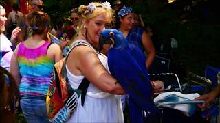 Hippie Fest 2019 Hocking Hills [upl. by Aivatnuhs]