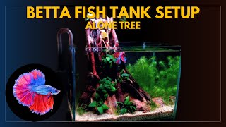 BETTA FISH TANK SETUP Alone Tree HARDSCAPE FOR VIBRANT BETTA FISH [upl. by Axe]