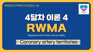 Coronary artery territories echocardiography 심장초음파 heart echo view coronaryartery territory [upl. by Oiramrej250]