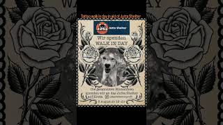 Walk in Tattoo Day 3rd August in aid of Jutta Shelter cats and dogs Details on the description box [upl. by Resiak924]