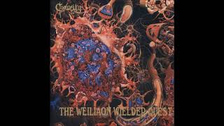 Caducity  The Weiliaon Wielder Quest FULL ALBUM  1995 [upl. by Anohr]