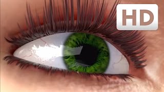 How eyelashes grow  Nanolash® eyelash serum Explainer Video [upl. by Airet]