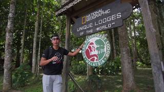 Sukau Rainforest Lodge  National Geographic Unique Lodges of the World [upl. by Atirabrab729]