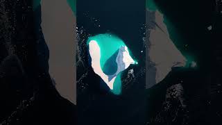 Magical Moments in Greenland 🐋🗻❄️ greenland arctic iceberg whale drone dronevideo fpvdrone [upl. by Anirod918]