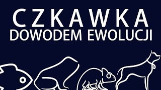 Czkawka dowodem ewolucji [upl. by Annovoj]