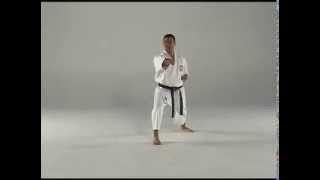 1st Kata  Taigyoku Shodan [upl. by Wiedmann]