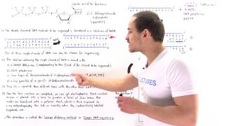 Sanger Sequencing of DNA [upl. by Kipp]