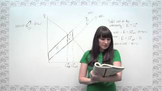 Microeconomics Practice Problem  The Cost of Externalities and the Logic of Corrective Taxes [upl. by Kinelski]