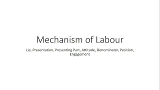 Basics in Mechanism of Labour  Obstetrics for Medical Students [upl. by Eellah115]