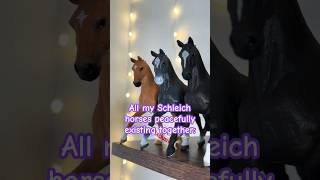 He carries the shelf tbh 🪿 schleich animals schleichhorse [upl. by Sassan]