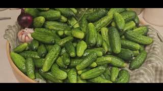 Sweet Gherkins Recipe  Simpliest Pickle Recipe [upl. by Ynolem]