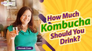 Kombucha Benefits Drinking Too Much Kombucha with Kombucha Kamp [upl. by Halueb638]