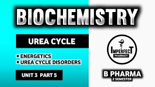 Urea Cycle  Urea Cycle Disorders  Amino Acid Metabolism  Biochemistry  B Pharma 2nd Semester [upl. by Ethe]