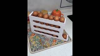 Egg Holder Eggs Organizer Sliding Rail Shelf Refrigerator Stand Accessory Storage [upl. by Anemolif694]