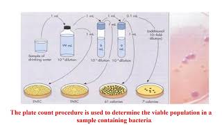 Bacterial Enumeration Techniques Video No 70 [upl. by Aleicarg]