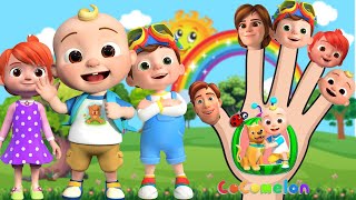 Finger Family  Baby Finger Where Are You  Bee Baby Nursery Rhymes amp Kids Songs [upl. by Marjory976]