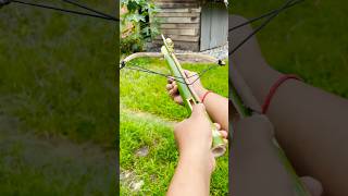 Bamboo Creations with bow and Slingshots bamboo Diy [upl. by Valleau]