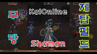 14 KalOnline new server Shaman Tower of priest field test  칼온라인 신규서버 무당 점핑jumping후 제사장탑 필드 테스트 [upl. by Liponis]