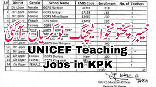 kpk teaching jobs 2024  UNICEF kpk  kp govt all govt job recruiting [upl. by Yrehcaz]