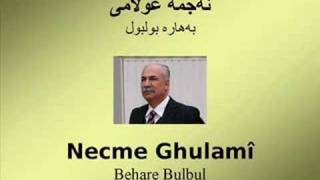 Necme Ghulamî  Behare Bulbul [upl. by Bud]