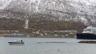 Tromsø  Hafen [upl. by Egide276]