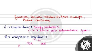 Which of the following are NOT considered as the part of endomembrane system AMitochondria B [upl. by Lener]