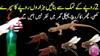 Get Rid of Rats Mosquito Cockroach Lizard With Homemade SprayPowerful Insects Killer Remedy [upl. by Christiana649]