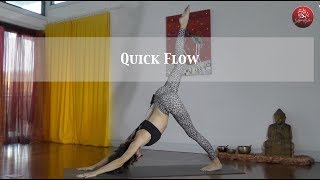 Quick Flow  A strong vinyasa flow for intermediate and advance practitioners [upl. by Ollecram219]