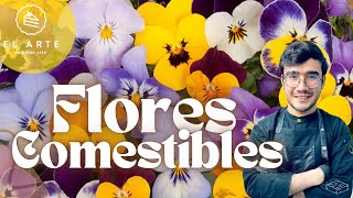 💐🌸Flores comestibles 🌸💐 [upl. by Yvaht822]