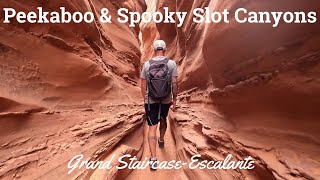 Peekaboo and Spooky Slot Canyons  Grand StaircaseEscalante National Monument [upl. by Palestine648]