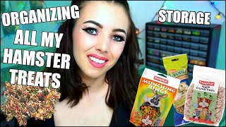 ALL MY HAMSTER TREATS  Organizing my Hamster Treat Collection [upl. by Cherice]