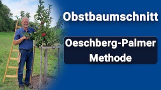 Obstbaumschnitt nach der OeschbergPalmer Methode Anleitung [upl. by Bernetta]