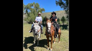 Our 1st Cattle Drive What an Experience July 6 2024 [upl. by Litha]